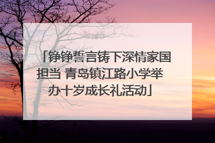铮铮誓言铸下深情家国担当 青岛镇江路小学举办十岁成长礼活动