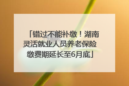错过不能补缴！湖南灵活就业人员养老保险缴费期延长至6月底