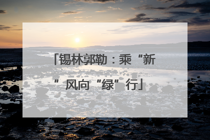 锡林郭勒：乘“新”风向“绿”行