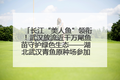 长江“美人鱼”领衔！武汉放流近千万尾鱼苗守护绿色生态——湖北武汉青鱼原种场参加2025年“全国放鱼日”增殖放流活动