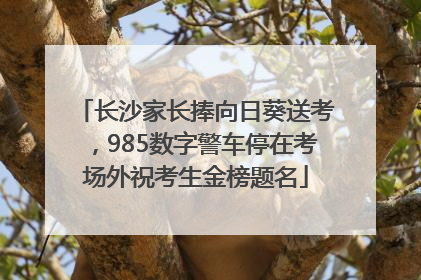 长沙家长捧向日葵送考，985数字警车停在考场外祝考生金榜题名