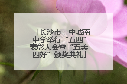 长沙市一中城南中学举行“五四”表彰大会暨“五美四好”颁奖典礼
