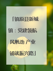 镇原县新城镇：党建领航风帆劲 产业铺就振兴路