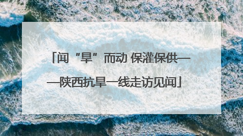 闻“旱”而动 保灌保供——陕西抗旱一线走访见闻