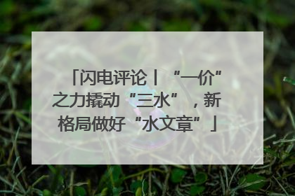 闪电评论丨“一价”之力撬动“三水”，新格局做好“水文章”