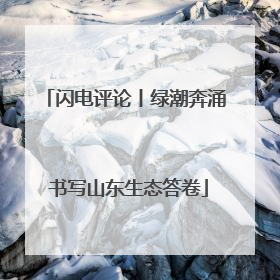 闪电评论丨绿潮奔涌 书写山东生态答卷