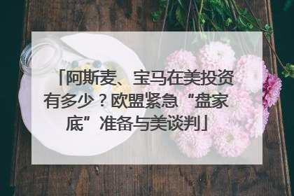 阿斯麦、宝马在美投资有多少？欧盟紧急“盘家底”准备与美谈判