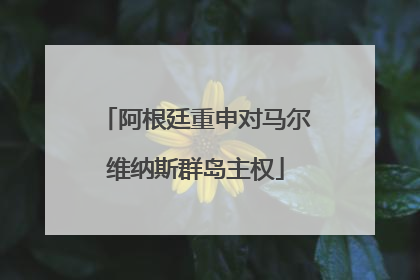 阿根廷重申对马尔维纳斯群岛主权