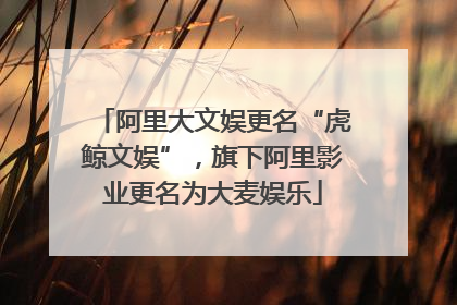 阿里大文娱更名“虎鲸文娱”，旗下阿里影业更名为大麦娱乐