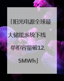 阳光电源全球最大储能系统下线 单柜容量破12.5MWh