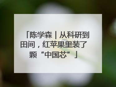 陈学森｜从科研到田间，红苹果里装了颗“中国芯”