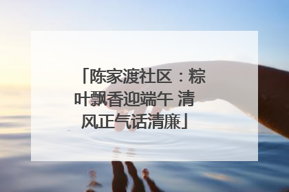 陈家渡社区：粽叶飘香迎端午 清风正气话清廉