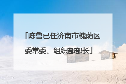 陈鲁已任济南市槐荫区委常委、组织部部长