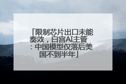 限制芯片出口未能奏效，白宫AI主管：中国模型仅落后美国不到半年