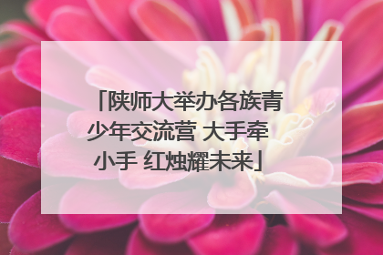 陕师大举办各族青少年交流营 大手牵小手 红烛耀未来