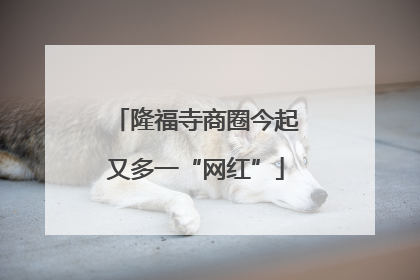 隆福寺商圈今起又多一“网红”