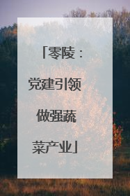 零陵：党建引领 做强蔬菜产业
