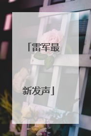 雷军最新发声
