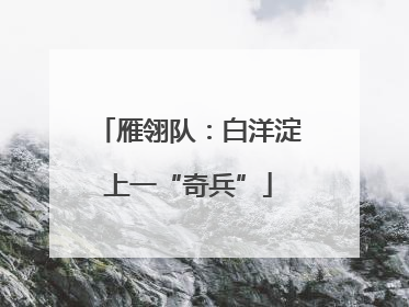 雁翎队：白洋淀上一“奇兵”