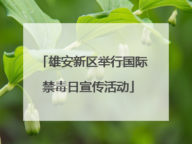 雄安新区举行国际禁毒日宣传活动