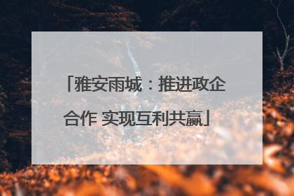 雅安雨城：推进政企合作 实现互利共赢