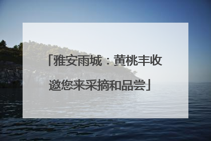 雅安雨城：黄桃丰收 邀您来采摘和品尝
