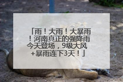 雨！大雨！大暴雨！河南真正的强降雨今天登场，9级大风+暴雨连下3天！