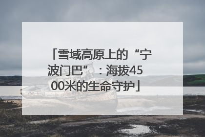 雪域高原上的“宁波门巴”：海拔4500米的生命守护