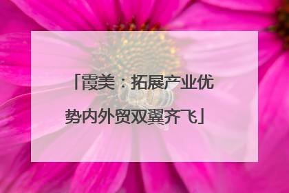 霞美：拓展产业优势内外贸双翼齐飞