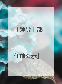 领导干部任前公示