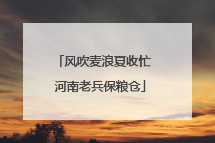 风吹麦浪夏收忙 河南老兵保粮仓