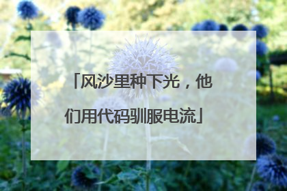 风沙里种下光，他们用代码驯服电流