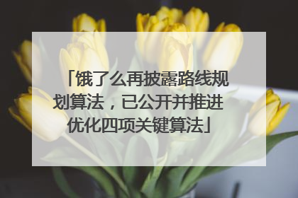 饿了么再披露路线规划算法，已公开并推进优化四项关键算法