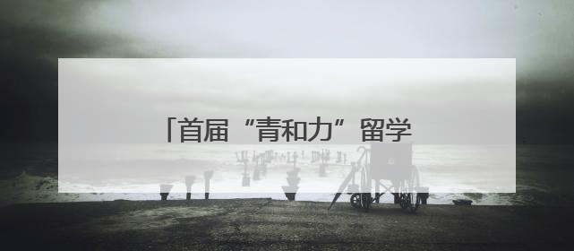 首届“青和力”留学人才嘉年华成功举办