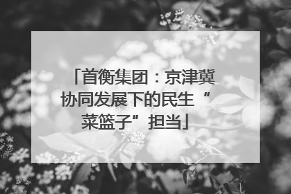 首衡集团：京津冀协同发展下的民生“菜篮子”担当