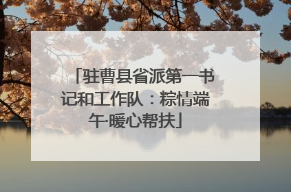 驻曹县省派第一书记和工作队：粽情端午·暖心帮扶