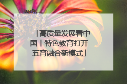 高质量发展看中国丨特色教育打开五育融合新模式