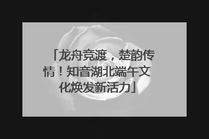龙舟竞渡，楚韵传情！知音湖北端午文化焕发新活力