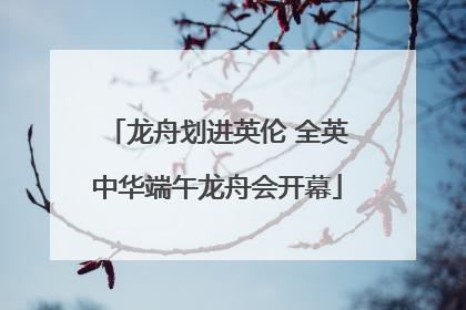 龙舟划进英伦 全英中华端午龙舟会开幕