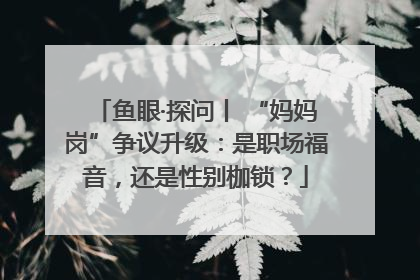 鱼眼·探问丨 “妈妈岗”争议升级：是职场福音，还是性别枷锁？