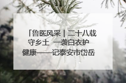 鲁医风采｜二十八载守乡土  一袭白衣护健康——记泰安市岱岳区满庄镇卫生院院长、主任医师张宝喜