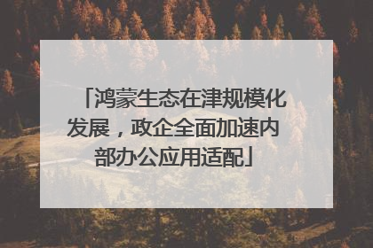 鸿蒙生态在津规模化发展，政企全面加速内部办公应用适配