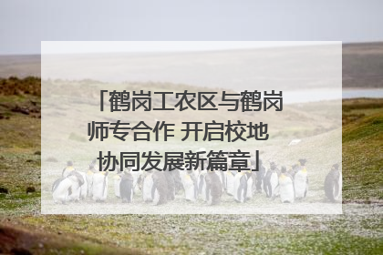 鹤岗工农区与鹤岗师专合作 开启校地协同发展新篇章