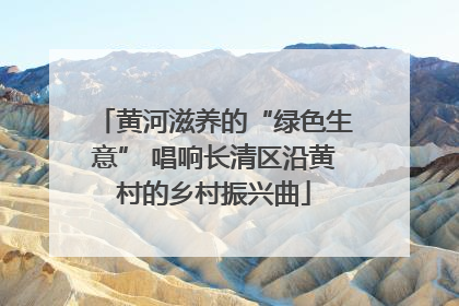 黄河滋养的“绿色生意” 唱响长清区沿黄村的乡村振兴曲