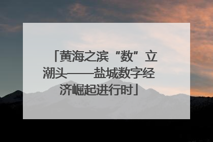 黄海之滨“数”立潮头——盐城数字经济崛起进行时