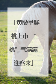 黄陂早鲜桃上市 “桃”气满满迎客来