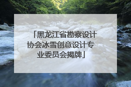 黑龙江省勘察设计协会冰雪创意设计专业委员会揭牌