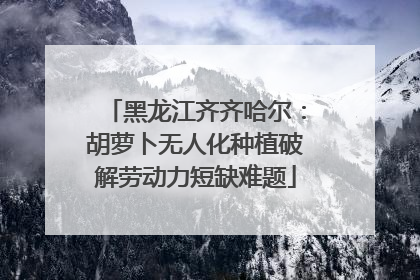 黑龙江齐齐哈尔：胡萝卜无人化种植破解劳动力短缺难题