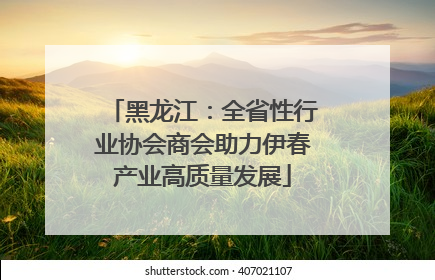 黑龙江：全省性行业协会商会助力伊春产业高质量发展