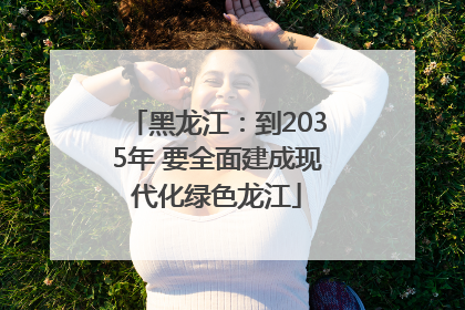 黑龙江：到2035年 要全面建成现代化绿色龙江